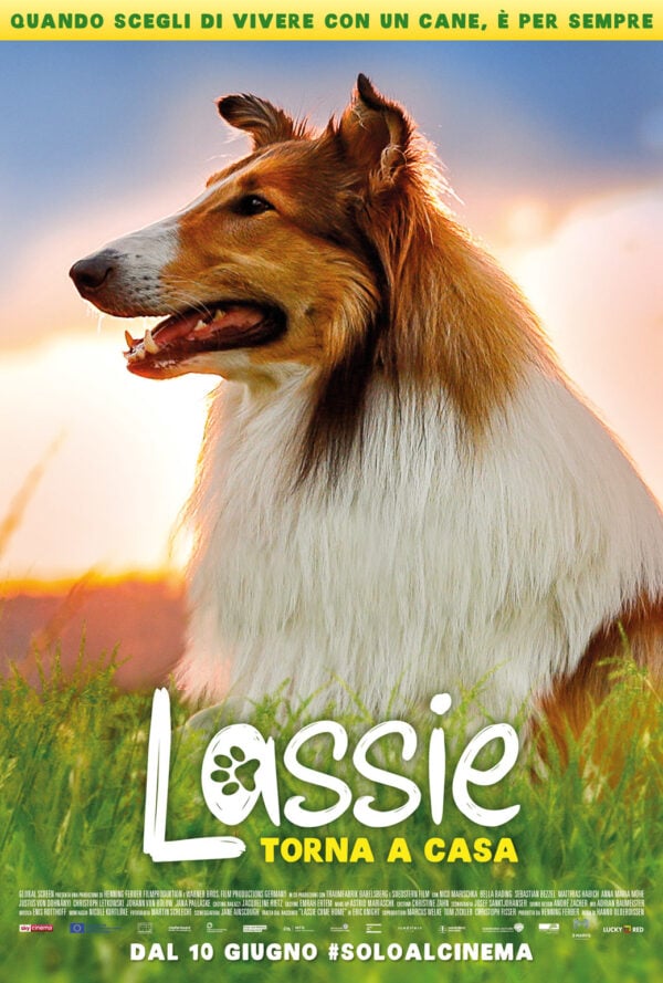 Poster Lassie torna a casa