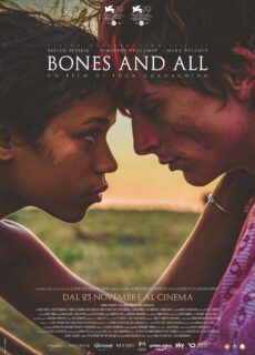 Poster Bones And All