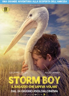 Poster Storm Boy – Il ragazzo che sapeva volare