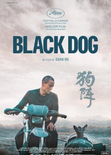 Poster Black Dog