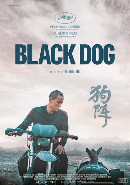 Poster Black Dog