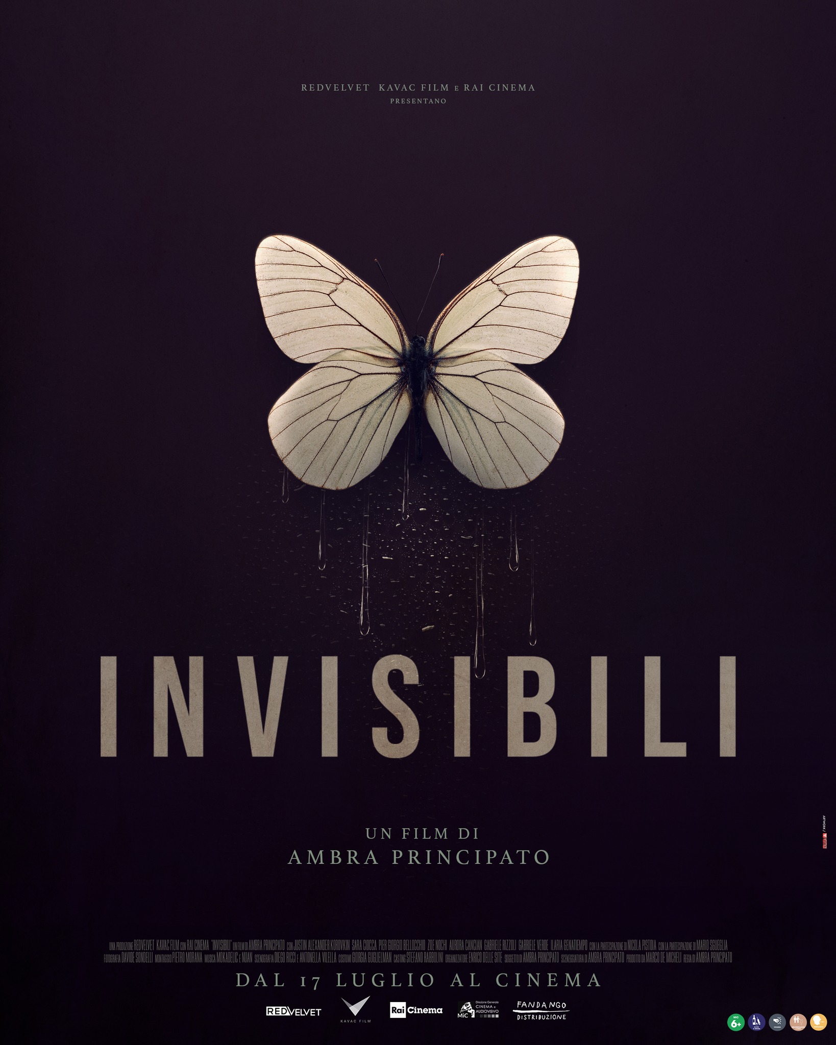 Poster Invisibili