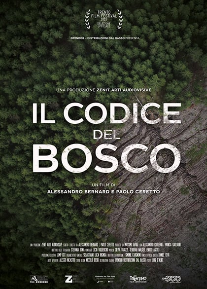 Poster Il codice del bosco
