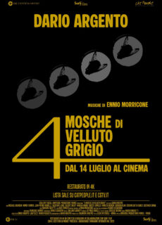 Poster 4 Mosche di velluto grigio
