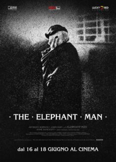 Poster The Elephant Man (riedizione)