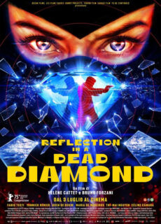 Poster Reflection in a Dead Diamond