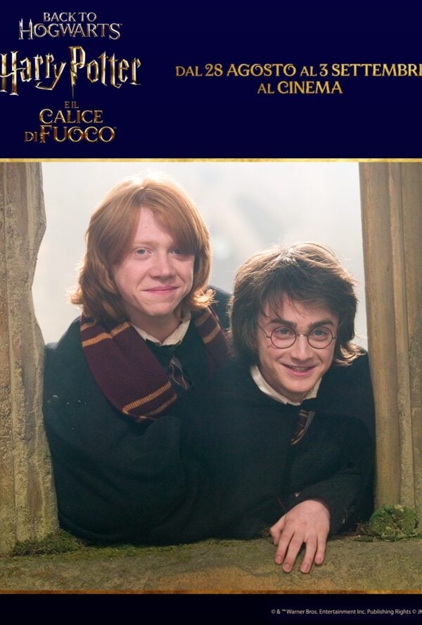 Poster Harry Potter e il calice di fuoco (riedizione 20° anniversario)