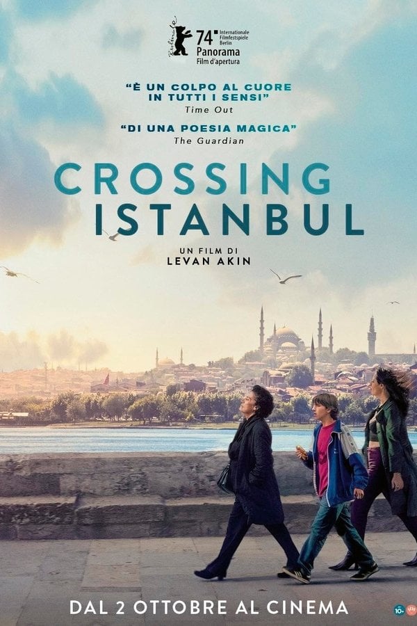 Poster Crossing Istanbul