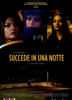 Poster Succede in una Notte