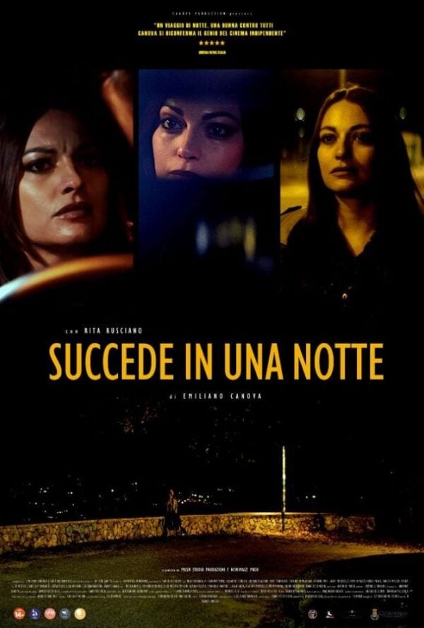 Poster Succede in una Notte