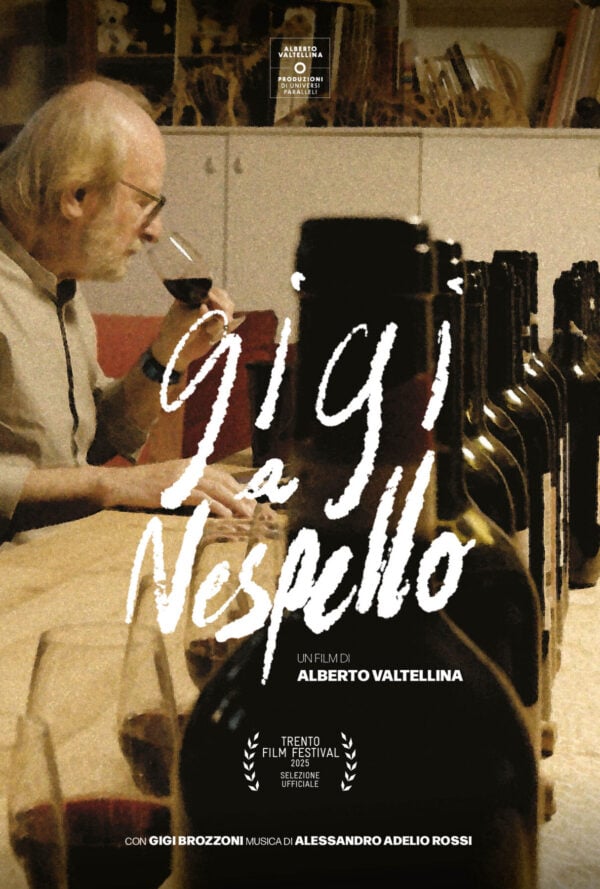 Poster Gigi a Nespello