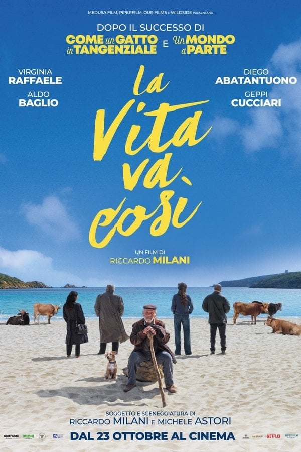 Poster La vita va così