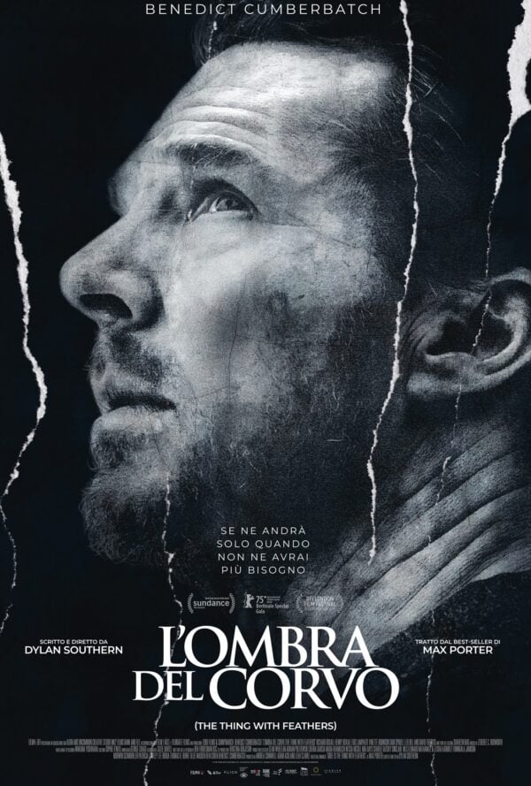 Poster L’ombra del corvo