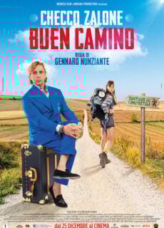 Poster Buen Camino