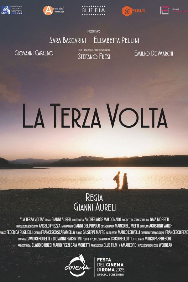 Poster La terza volta